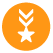 Orange medal icon