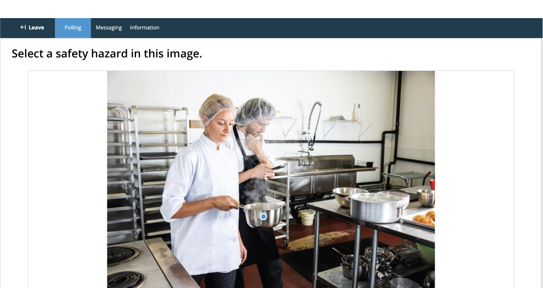 Participant selecting a hotspot image using TurningPoint web.